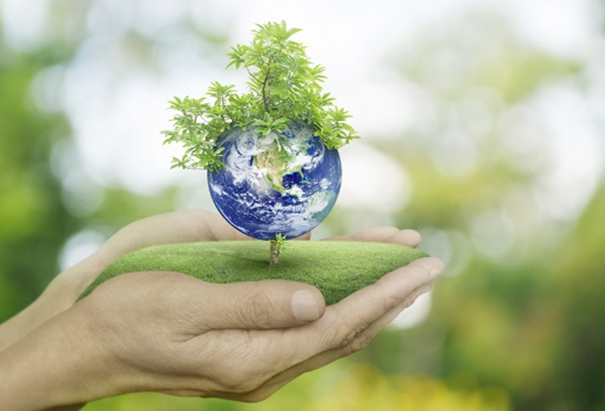 Sustainable Development